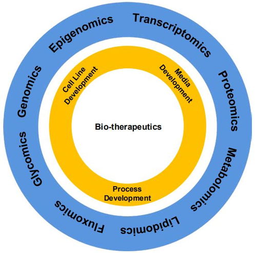CHO组学技术回顾 新兴技术对CHO细胞为基质的生物制品开发的影响